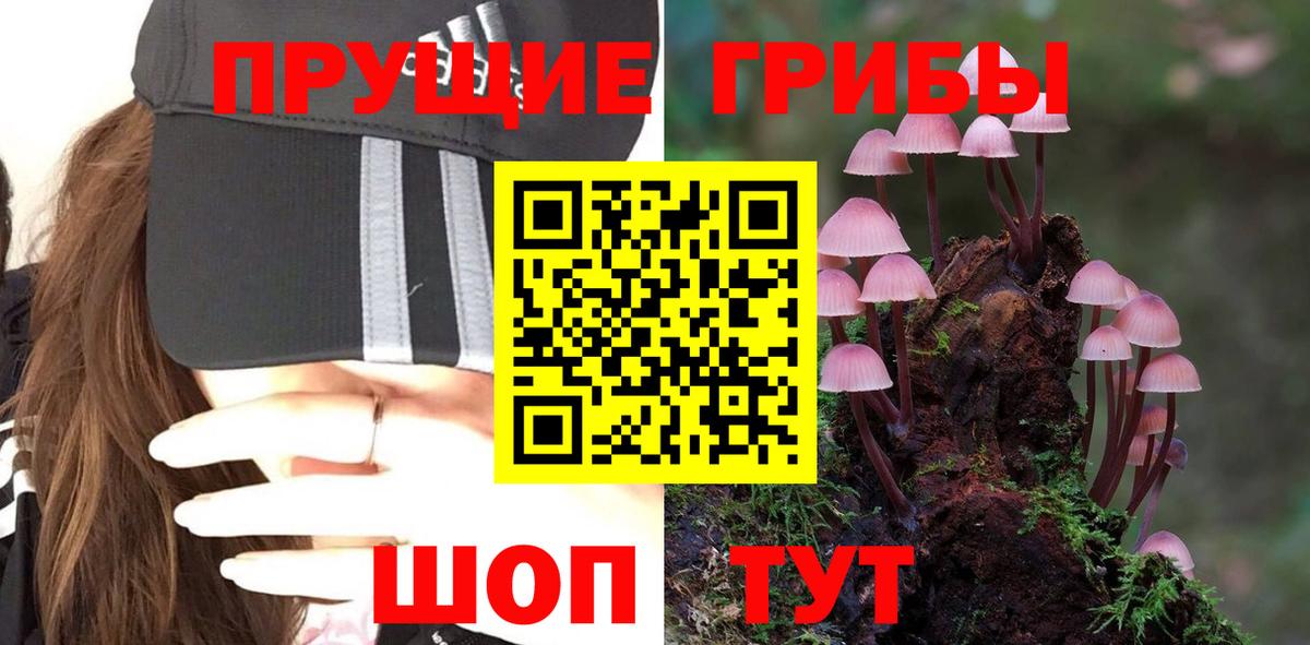 Псилоцибиновые грибы Psilocybine cubensis  Вход с VPN  Дивногорск 