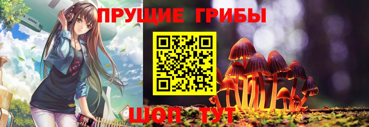 Псилоцибиновые грибы мухоморы Дивногорск